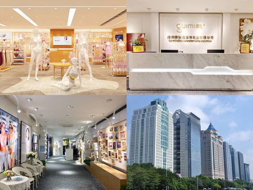 陈德容代言的闺秘内衣加盟情况解析