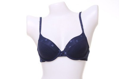 内衣模特 美丽背后的专业与多元