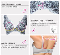 菲丽雅高档女精品内衣 调整聚拢蕾丝条纹刺绣文胸 公主奶罩乳罩